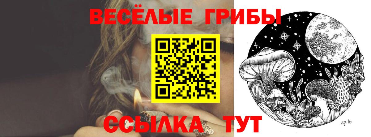 Воронеж  Галлюциногенные грибы ЛСД  Вход с VPN 